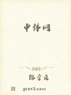 中体网